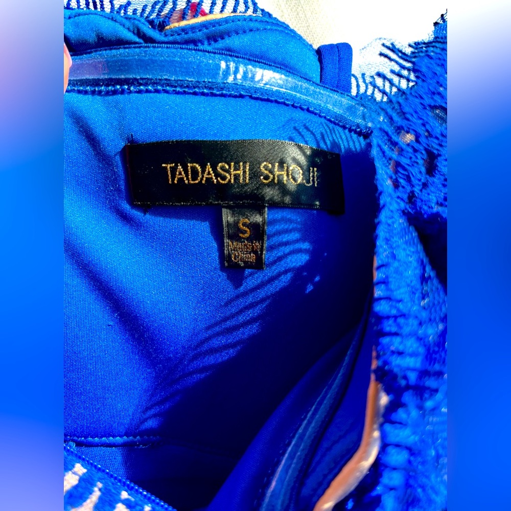 Tasashi Shoji gorgeous blue gown. Lace and non stretch fabric.